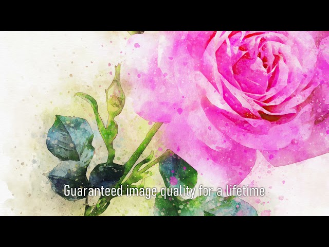 Premium Handmade Art Print "One Pink Rose in Watercolors" by Dreamframer Art