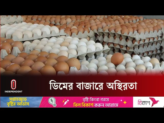 ২৪ দিনে ডিম সিন্ডিকেট হাতিয়ে নিয়েছে ৬০ কোটি টাকা | Egg Price | Independent TV