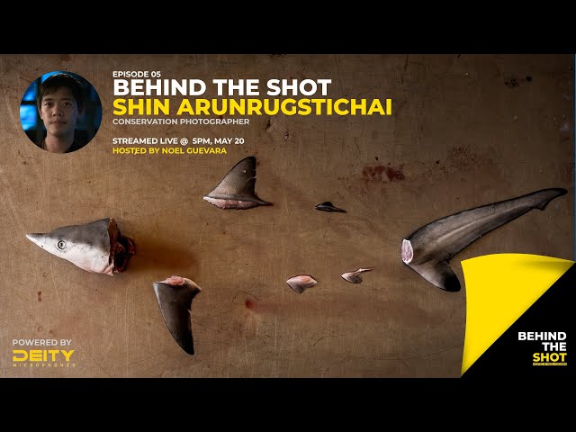Behind the Shot LIVE 05: Shin Arunrugstichai on Dugong and Shark conservation!