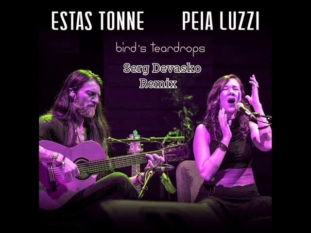 Estas Tonne Ft.Peia Luzzi-Bird's Teardrops(Serg Devasko Remix)