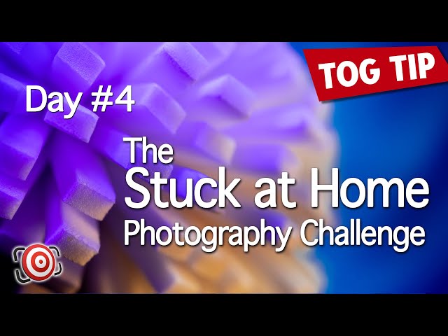 The STUCK at HOME Photography Challenge - Day 4 - Improve Your Photography