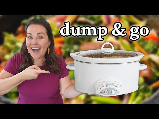 AMAZING Dump and Go CROCKPOT recipes for BUSY DAYS | STRESS-FREE DINNERS