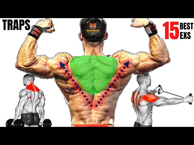 15 BEST TRAPS WORKOUT AT GYM THAT YOU NEVER DID
