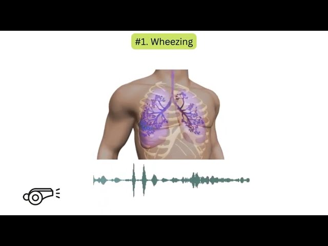 Abnormal lung sounds in COPD