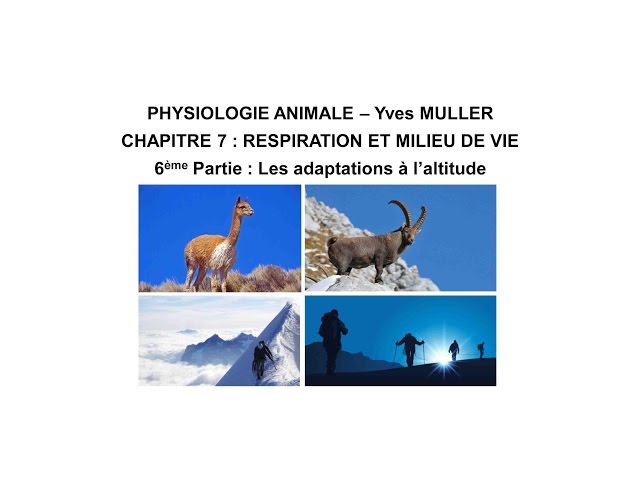 Chapitre 7-6 Les adaptations de l’homme et des animaux à l’altitude