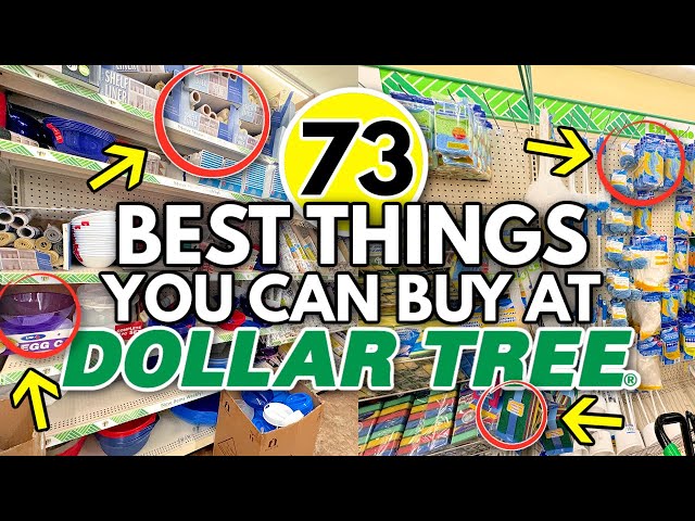 Don't go to the Dollar Tree without watching this first 😮