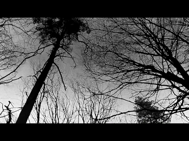 Trentemøller: Church Of Trees (official video)