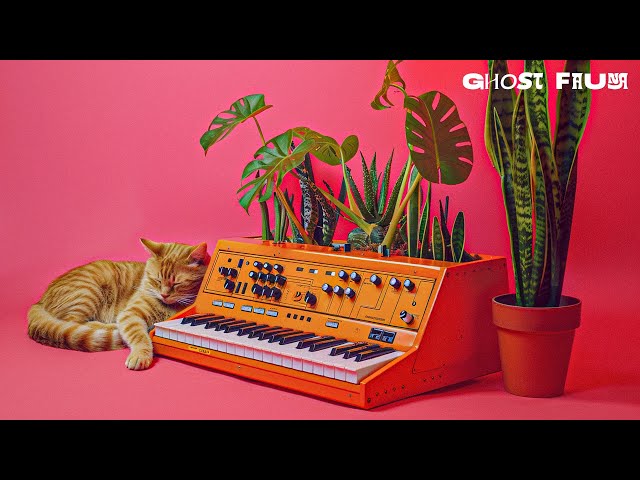 Plants, Animals & Music: Relaxing Electronic & Analog Soundscapes [AMBIENT MUSIC 1 Hour]