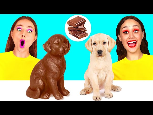 Schokolade vs Echtes Essen Challenge | Lustige Momente von DoDo Challenge