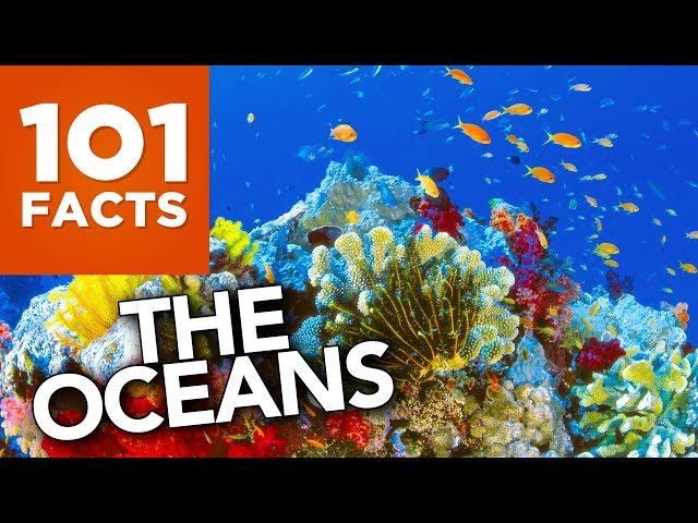 101 Facts About The Oceans