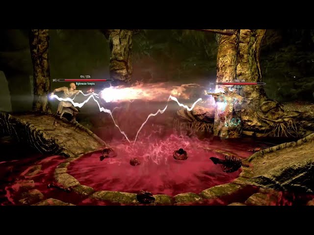 Skyrim Battles - Nightmaster Vampire vs. Dragon Priest, Savos Aren, and more