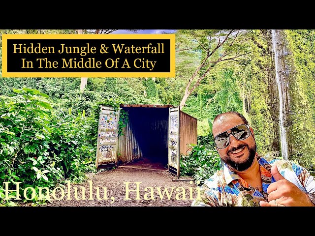 Hidden Jungle & Waterfall In Middle Of A City | Honolulu, Hawaii | Manoa Falls Trail #oahu #hawaii