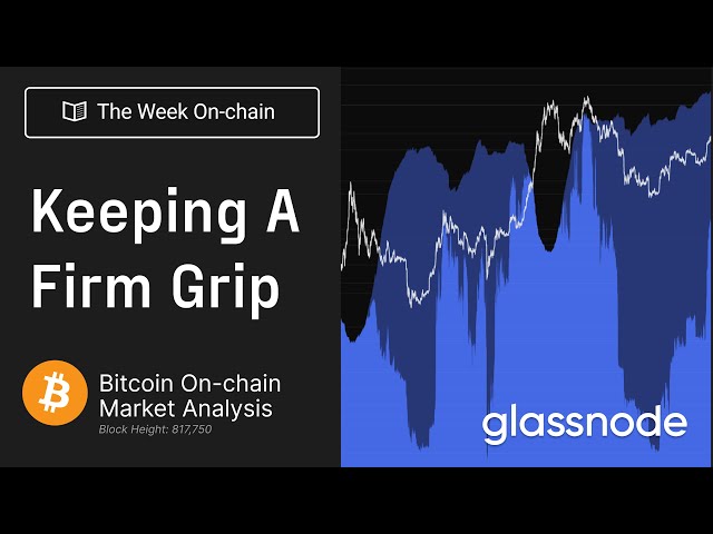 Bitcoin Investors Keep a Firm Grip - The Week On-chain 47, 2023 (Bitcoin Onchain Analysis)