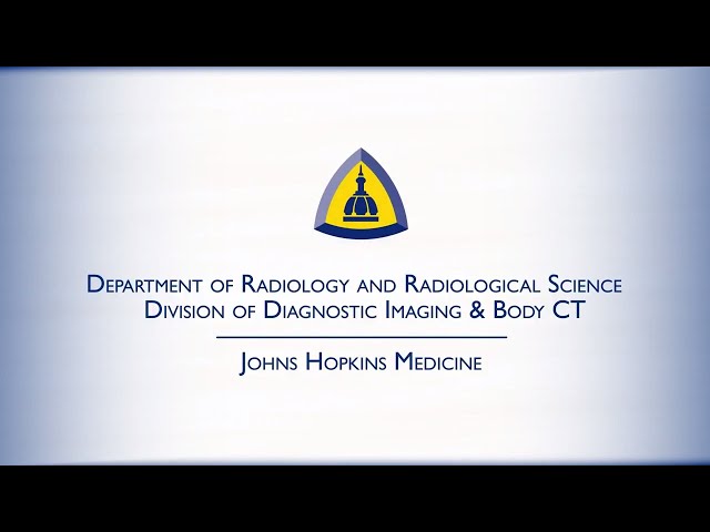 The Division of Diagnostic Imaging & Body CT