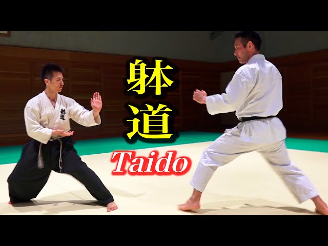 Karate and Taido, what happened? English subtitles