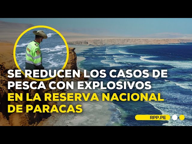Reserva Nacional de Paracas: Se han reducido los casos de uso explosivos para la pesca?