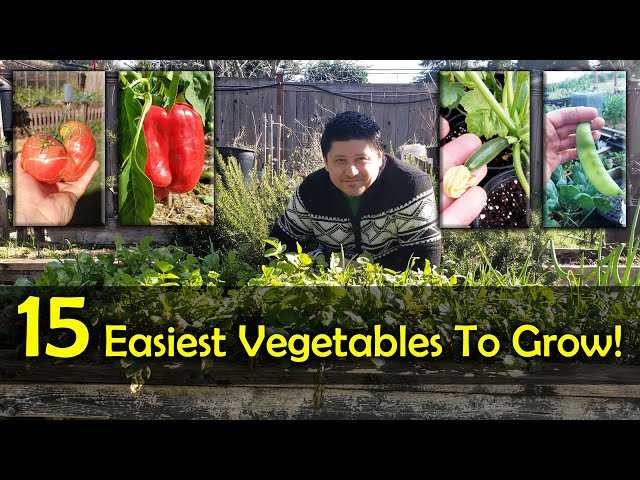 The 15 Easiest Vegetables To Grow For Beginners