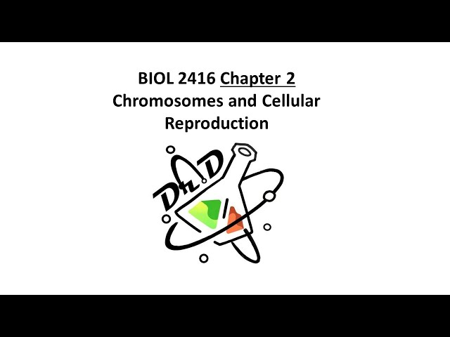 BIOL2416 Chapter 2 - Chromosome and Cellular Reproduction