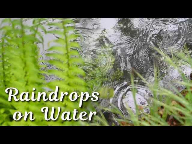 10 Hours of Soothing Rain Sounds - No Music or Birdsong