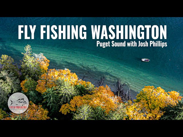 FLY FISHING the PUGET SOUND: SEARUN Cutthroat & Coho fishing with Josh Phillips
