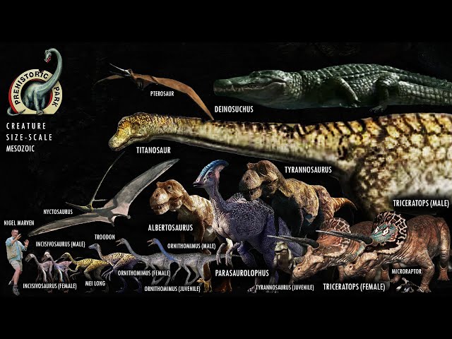 Prehistoric Park Complete Creature Size Scales