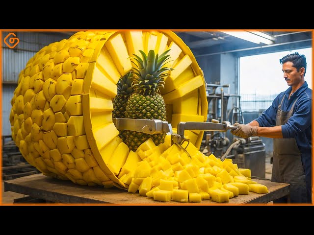 TOP Satisfying Videos Modern Food Technology Processing Machines That Are At Another Level ▶100