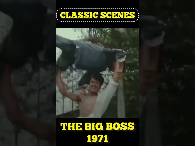 "The Big Boss" 1971 #Martial #Arts #KungFu #Classic #Fun #Action #MMA #BruceLee #Wow #Comedy #Shorts