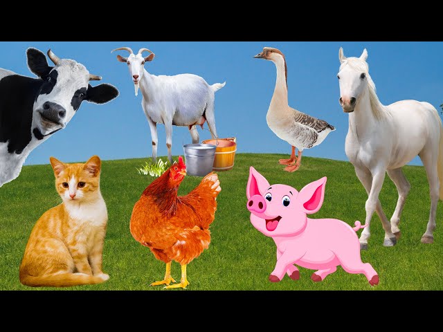 Interesting animals: dog, duck, cow, horse, seahorse, hippo - animal sounds