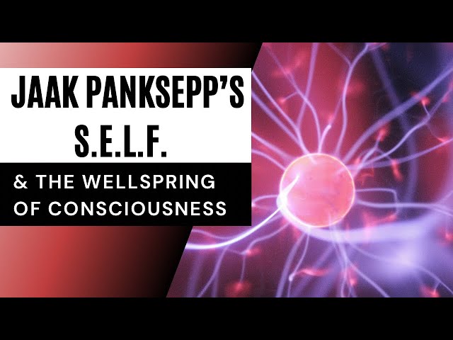 Jaak Paanksepp’s SELF & The Wellspring of Consciousness