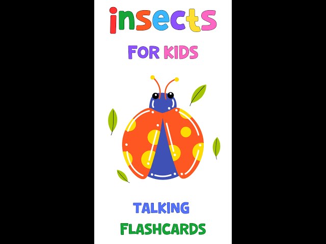 Creepy Crawly Fun: Talking Flashcards for Kids - Learn About Insects