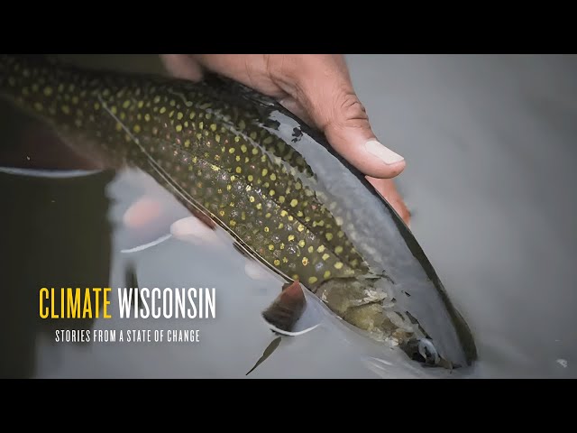Fly Fishing | Climate Wisconsin