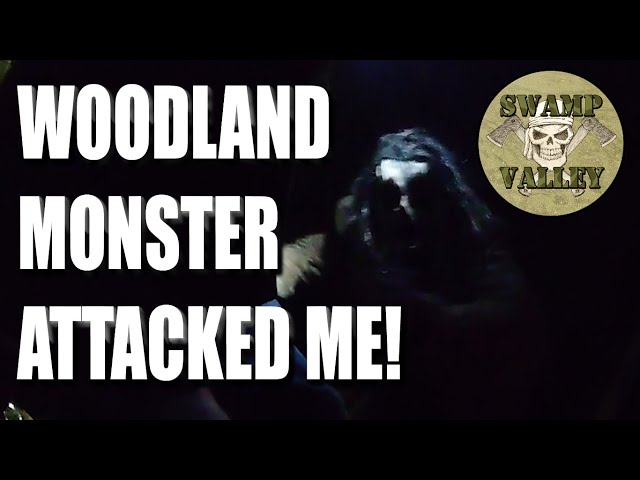 Attacked in the Woods - Unexplained Woodland Monster