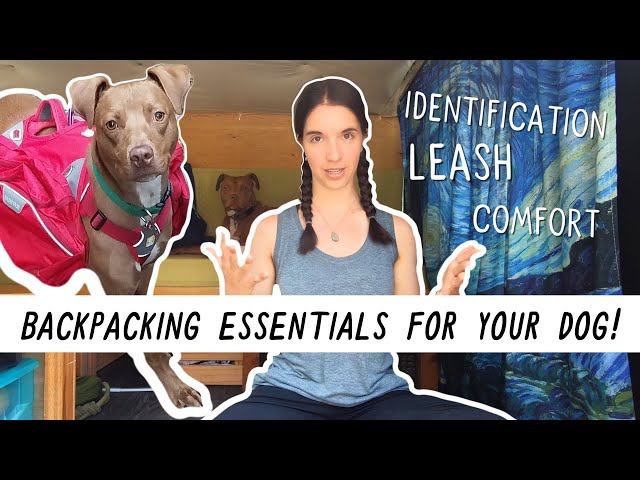 Backpacking ESSENTIALS for Your Dog! | Miranda in the Wild