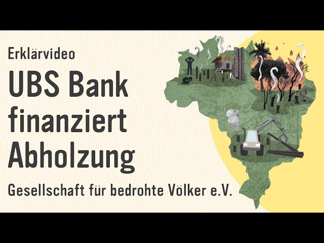 Erklärvideo • UBS Bank finanziert die Abholzung in Brasilien • Gesellschaft für bedrohte Völker