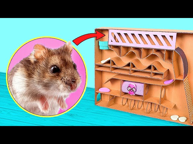 Cardboard Labyrinth For Hamster || 3 Easy Crafts For Your Pet