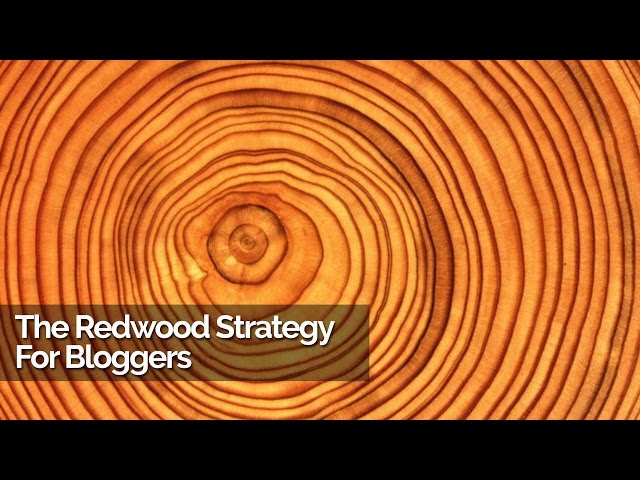 The Redwood Strategy: The Efficient Content Strategy For Bloggers To Get More Traffic, For Less