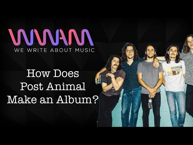 Post Animal Explain How They Make an Album