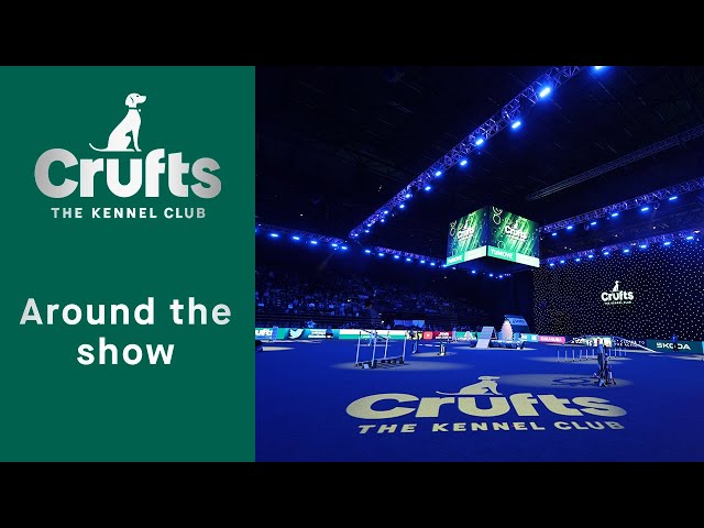 Look back at Crufts! | Crufts 2023