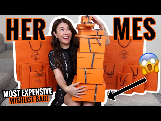 OMG! My Most EXPENSIVE Hermes Unboxing Haul! Rare Birkin or Kelly? How much did I have to SPEND?