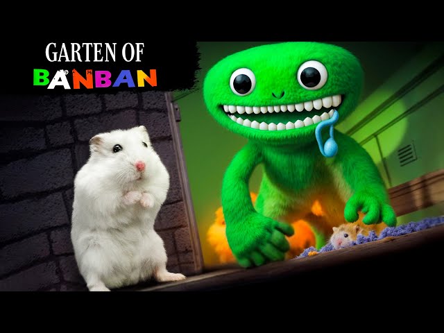 Hamster Escapes Monster Prison Maze 🛑 Live Stream