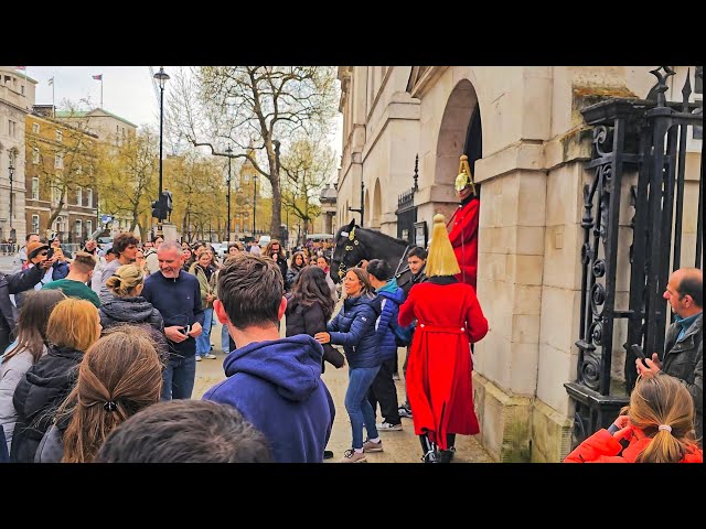 GUARD needs to SHOUT TWICE at IDIOT tourists who think they're at Disneyland, not Horse Guards!