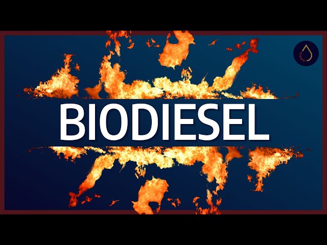 How does biodiesel impact engines?