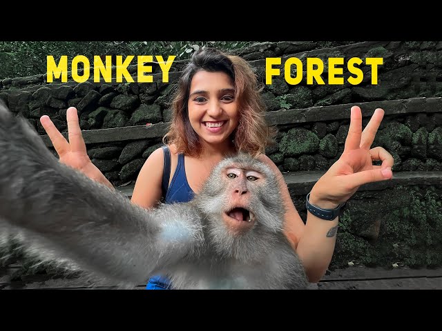 This Monkey Took Selfie With Me - Full Details of Monkey Forest | Ubud - Bali
