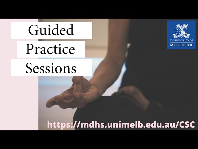 Guided meditation practice - Insight Meditation