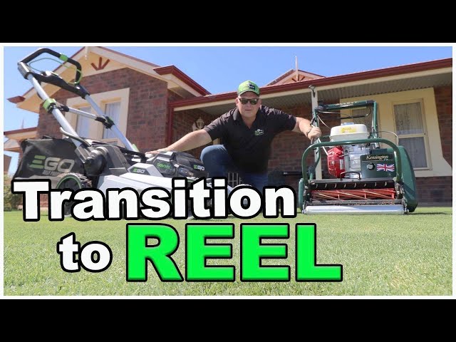 GETTING YOUR FIRST CYLINDER MOWER // How to use a REEL MOWER, Tips and a YEARLY LAWN PLAN