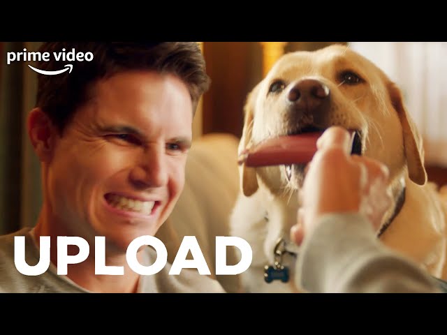Therapy Dog: Upload Style | Upload | Prime Video