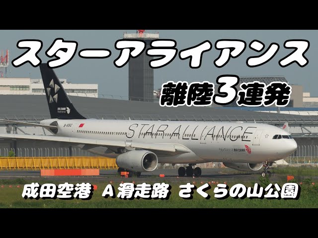 【4K】成田空港 さくらの山公園 スターアライアンス(エバー航空、中国国際航空、全日空)離陸３連発