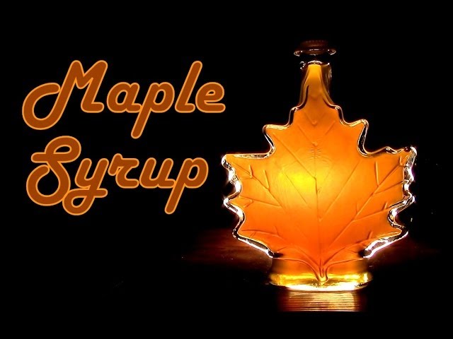 How to Make Maple Syrup- Everything you need to know