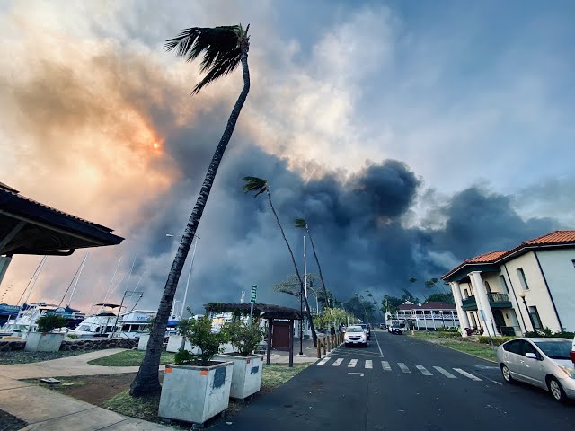 Families flee wildfires into ocean as Maui Boats Aid Fire Relief Efforts