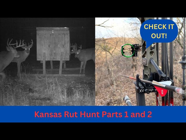 Big bucks are here! Kansas deer hunting the rut, videos 1 and 2